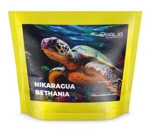 Kawa ziarnista Qualia Nikaragua Bethania Washed 250g - NIEDOSTĘPNY - opinie w konesso.pl