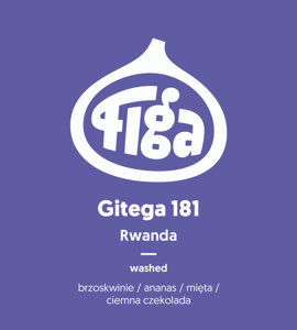 Kawa ziarnista Figa Coffee Rwanda Gitega 181 FILTR 250g - NIEDOSTĘPNY - opinie w konesso.pl