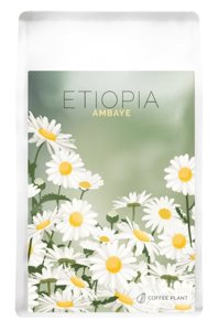 Kawa ziarnista COFFEE PLANT Etiopia Ambaye 250 g - NIEDOSTĘPNY - opinie w konesso.pl