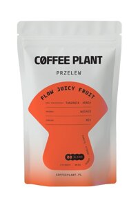 Kawa ziarnista COFFEE PLANT Flow Juicy Fruit 100g - opinie w konesso.pl