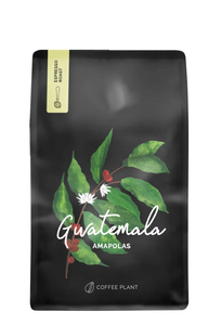 Kawa ziarnista COFFEE PLANT Gwatemala Amapolas 250g - opinie w konesso.pl