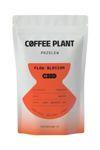 Kawa ziarnista COFFEE PLANT Flow Blossom 100g - opinie w konesso.pl