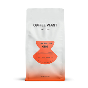 Kawa ziarnista COFFEE PLANT  Flow Blossom 800g - opinie w konesso.pl