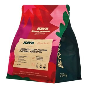 Kawa ziarnista HAYB IIndonesia Team Pegasing Carbonic Maceration 250g - NIEDOSTĘPNY - opinie w konesso.pl