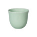 Celadon Green