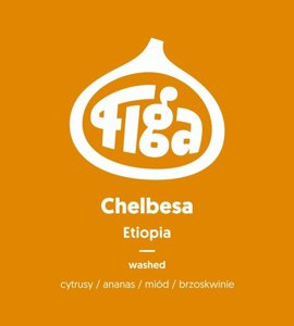 Kawa ziarnista Figa Coffee Etiopia Chelbesa Washed FILTR 250g - NIEDOSTĘPNY - opinie w konesso.pl