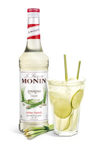 Monin Hibiscus