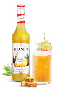 Monin Hibiscus